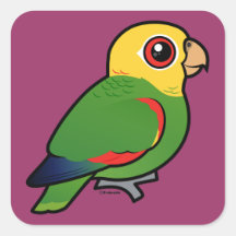 Gelb-köpfiger Amazonas Quadratsticker