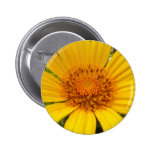 Gelbe Blume Anstecknadelbutton