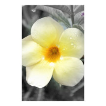 Gelbe Blume Bedrucktes Büropapier