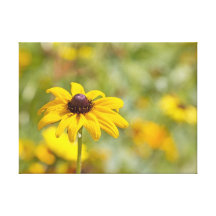 Gelbe Blumen-Leinwand Leinwanddrucke