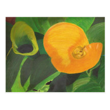 Gelbe Calla Lilly Postkarte