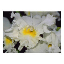 Gelbe Cattleya Blumen Personalisierte Ankündigungskarte