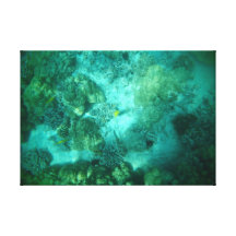 Gelbe Fische des Singles in der korallenroten Lein Leinwanddruck