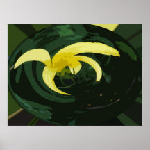 GELBE LILIE PLAKATE