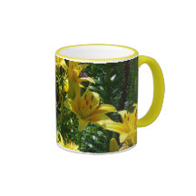 Gelbe Lilien, die auf sonniger Tagesbecher blühen Haferl