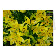 GELBE LILIEN GRUßKARTEN