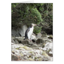 Gelbe mit Augen Penguin-Karte