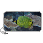 Gelbe Neonfische Mp3 Lautsprecher