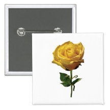 Gelbe Rose Anstecknadel