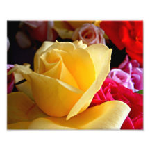 Gelbe Rose auf einem Blumenstrauß der Rosen Kunst Fotos