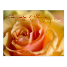Gelbe Rose • Save-the-Date-Postkarte