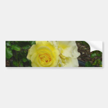 Gelbe Rosen-Stoßaufkleber Autosticker