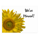 Gelbe Sonnenblume-Adressenänderung Postkarte