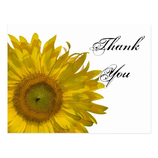 Gelbe Sonnenblume danken Ihnen Postkarte