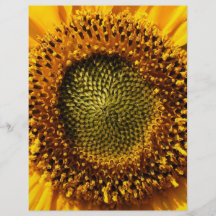 Gelbe Sonnenblume Personalisierte Flyer