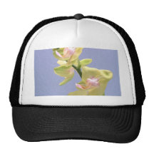 Gelbe und rosa Orchideen auf Lavendel Baseball Mütze
