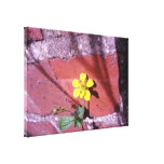 Gelbe Unkraut-Blume Leinwand Drucke