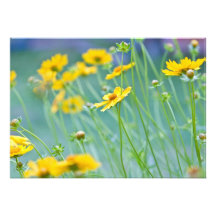 Gelbe Wildblumen Einladungskarten