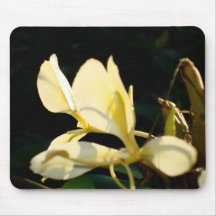 Gelber Ingwer Mousepad