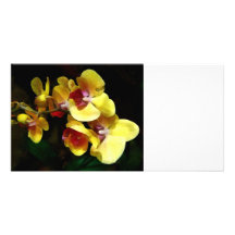Gelber Orchideen-Schatten und Licht Individuelle Foto Karte