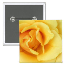 Gelber Rosen-Blüten-Quadrat-Knopf Anstecknadel