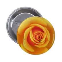 Gelber Rosen-Knopf Anstecknadel