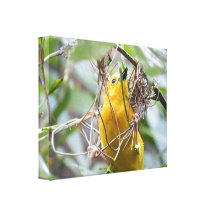 Gelber Vogel Galerie Falt Leinwand