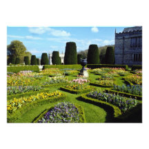 gelbes Cornwall Lanhydrock, England-Blumen Individuelle Ankündigungen