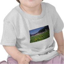 gelbes Feld mit Ettal Kloster, Bayern-Blumen Shirt