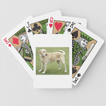 Gelbes Labrador retriever Spielkarten