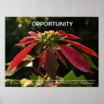GELEGENHEIT demotivational Plakat