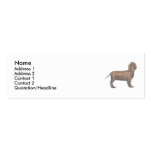 Gelockter überzogener Retriever Visitenkartenvorlagen