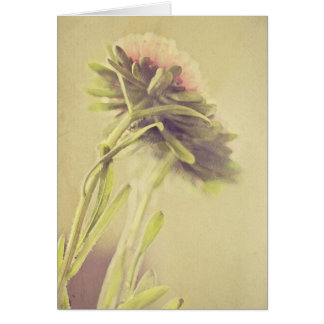 Gemalte Blumen Karten, Gemalte Blumen Grußkarten Designs und