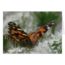 Gemalte Dame Butterfly Karte