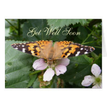 Gemalte Damenschmetterling ~ Karte