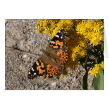 Gemalter Damenschmetterling Grußkarten