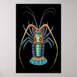 Gemaltes stacheliger Hummer-Plakat