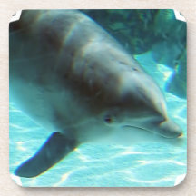 Gemeiner Delphin-Korken-Untersetzer
