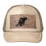 geoffroy-cat-015 baseballcaps
