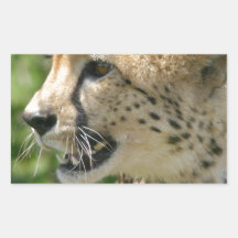 Gepard-Angriffs-Aufkleber