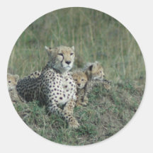 Gepard-Mamma und ihre drei Jungen Runder Aufkleber