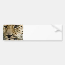 Gepunkteter Leopard-Stoßaufkleber Auto Sticker