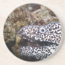 gepunktetes Aquariumtier der rechten Seite des Aal Untersatz