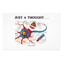 Gerade ein Gedanke… (Neuron/Synapse) Druckpapiere