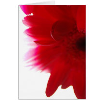Gerbera-Gänseblümchen-abstrakte Karte