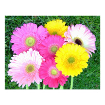 Gerbera-Gänseblümchen-Farben Einladungskarten