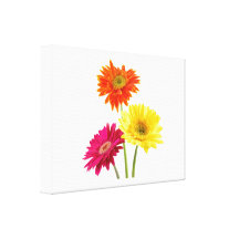 Gerbera-Gänseblümchen-Freude Gespannter Galeriedruck