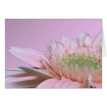 Gerbera-Gänseblümchen Grußkarte
