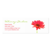 Gerbera-Gänseblümchen-Profil-Visitenkarte