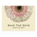Gerbera-Gänseblümchen-Save the Date Postkarte